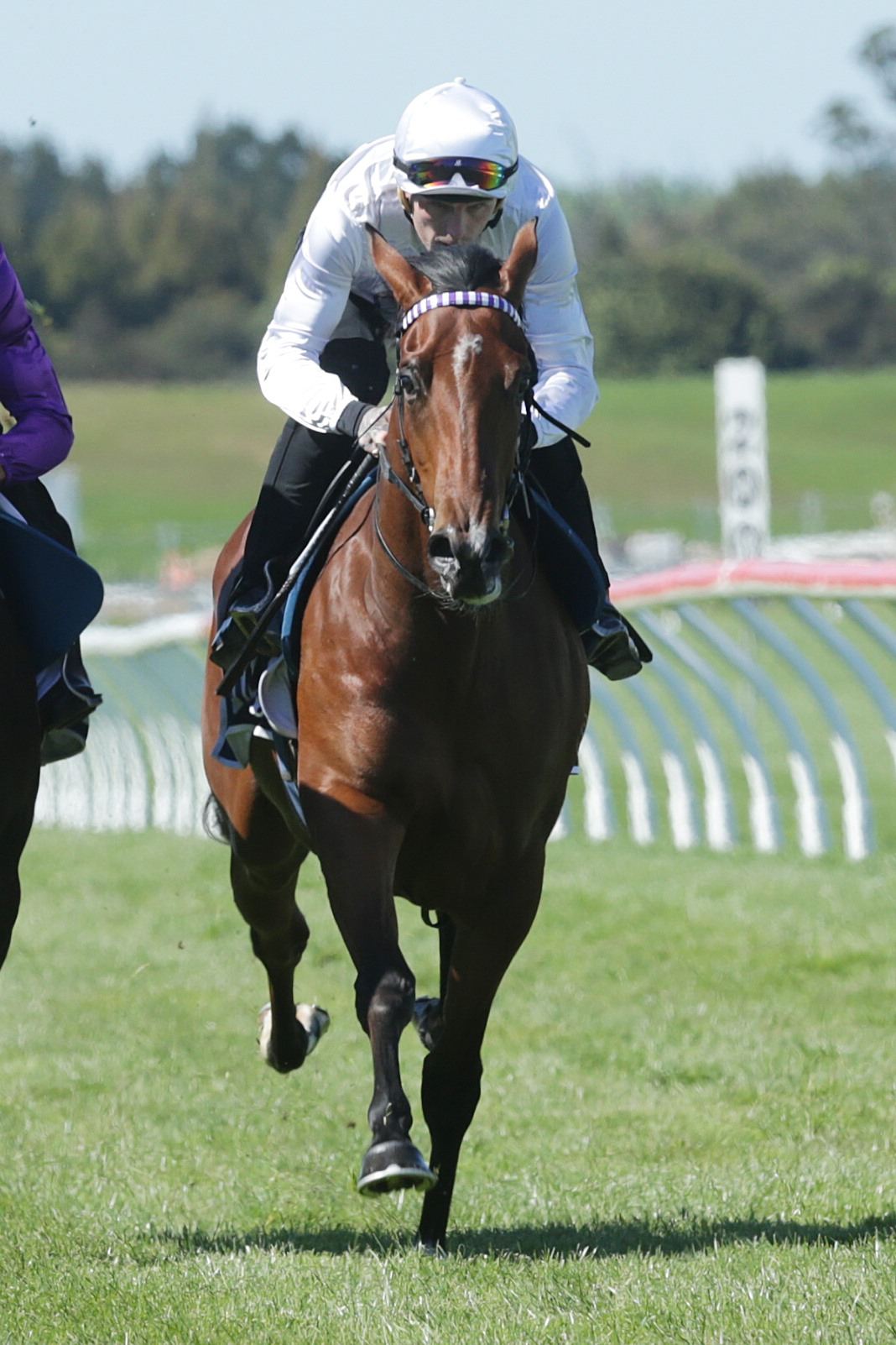 Saone racing on the track