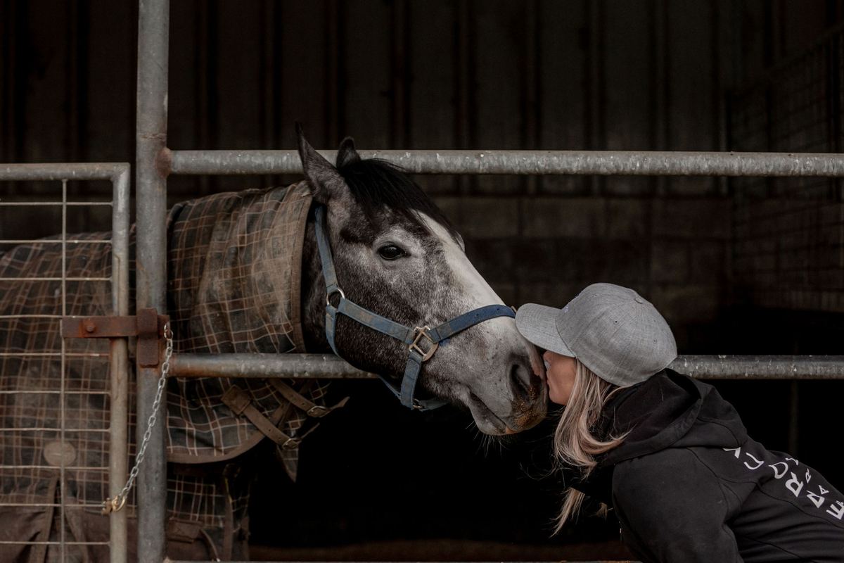 A quiet moment with a grey horse in the stables