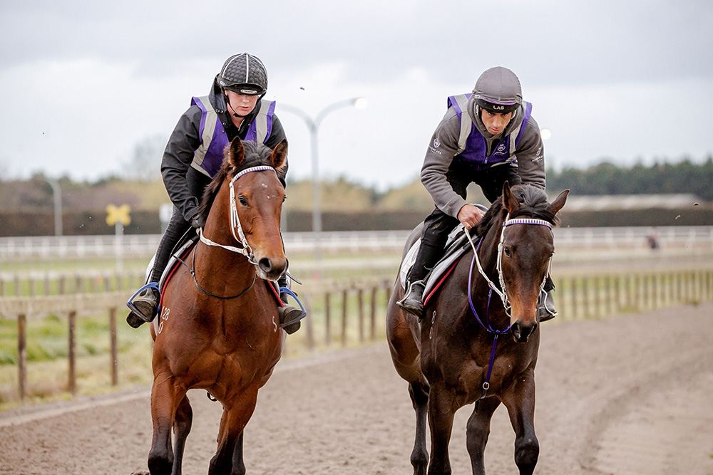 Two Riverrock riders in trackwork